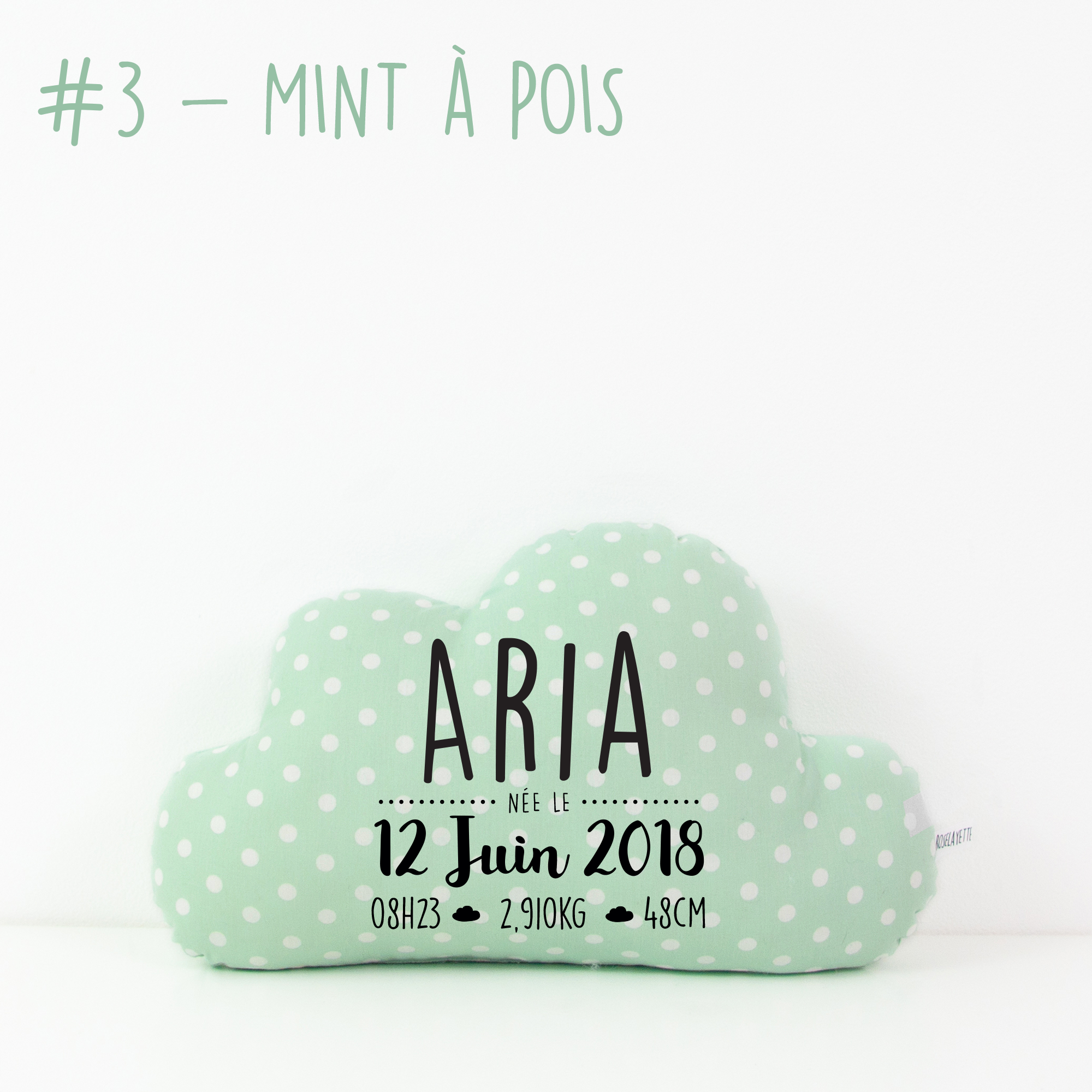 Coussin de Naissance - Nuage - Mint